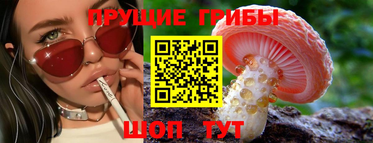 Псилоцибиновые грибы Magic Shrooms  Вход с VPN  Звенигород 