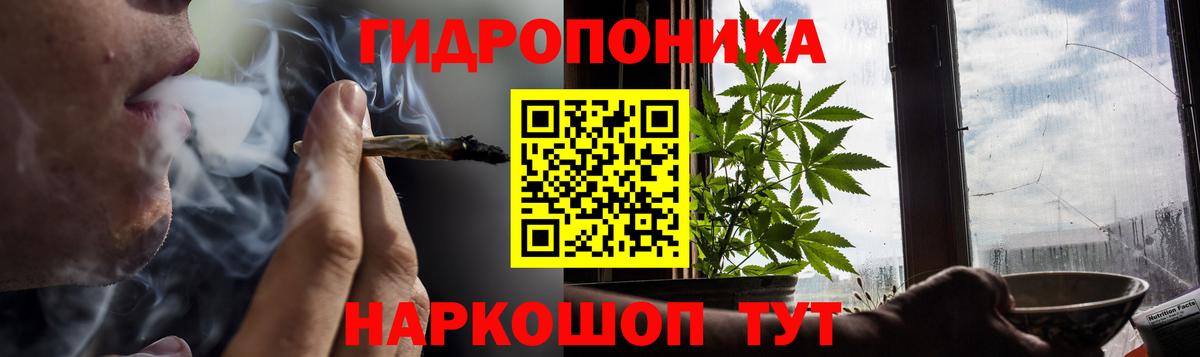 A PVP Звенигород